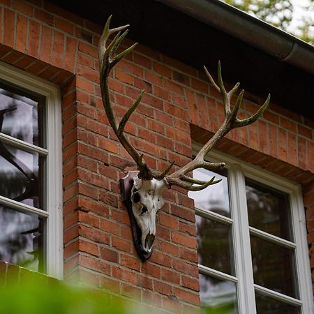 Wald- Und Seeidyll Im Historischen Forsthaus นอยรุพพิน ภายนอก รูปภาพ
